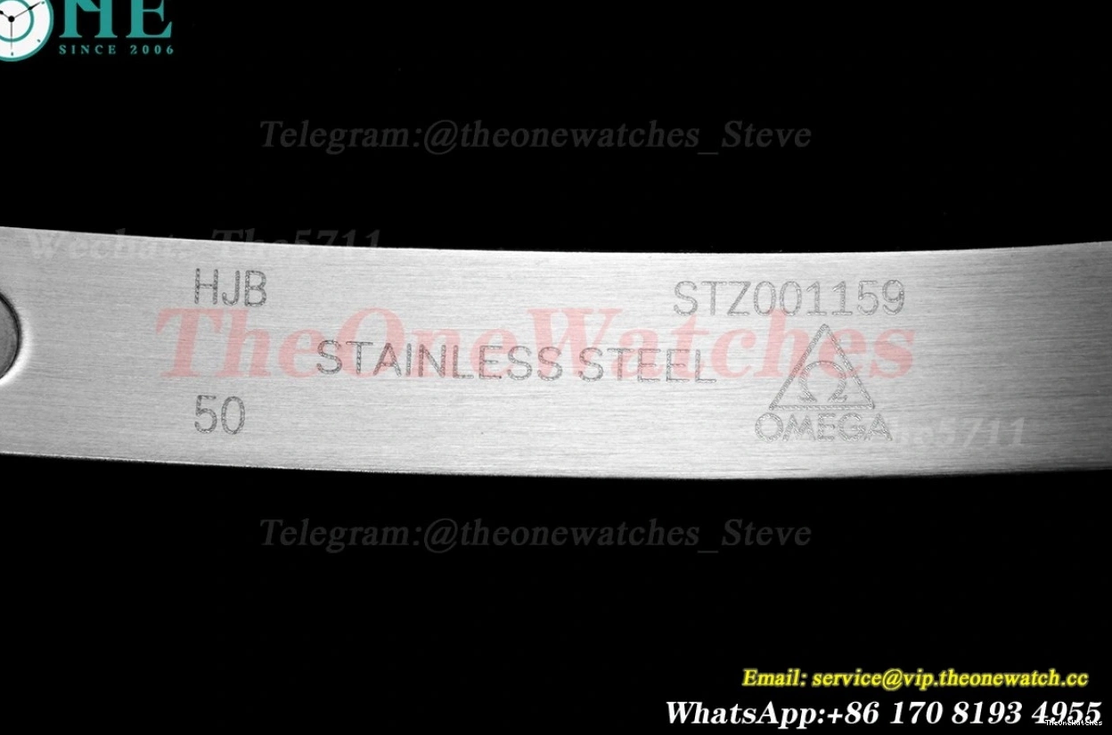 8800 Asia 300m SS 2018 Seamaster ORF Black SS 0113